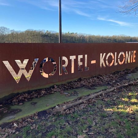 B&B De Grote Plaats Hoogstraten Bagian luar foto