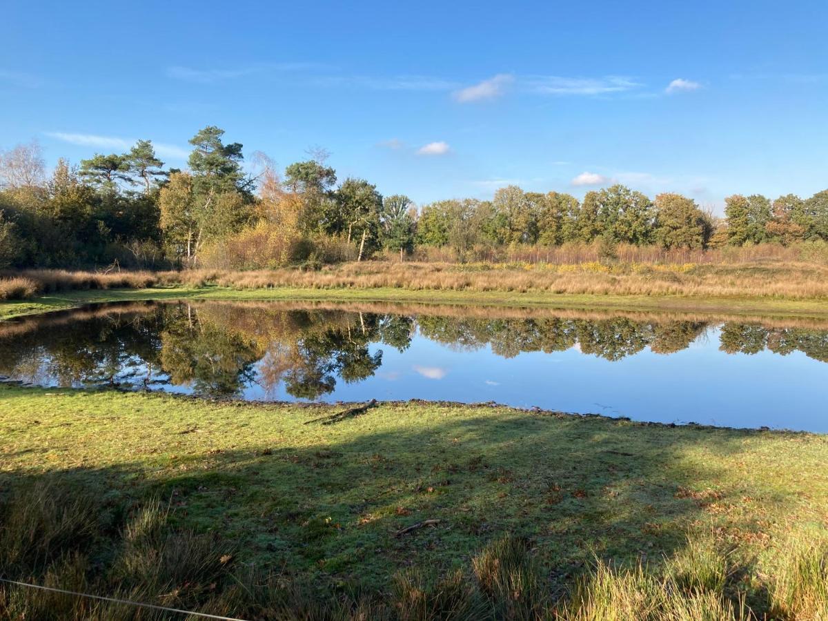 B&B De Grote Plaats Hoogstraten Bagian luar foto