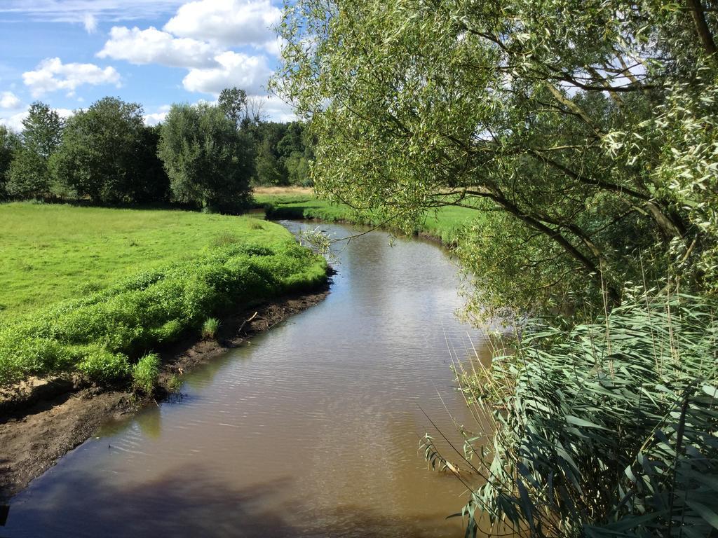 B&B De Grote Plaats Hoogstraten Bagian luar foto