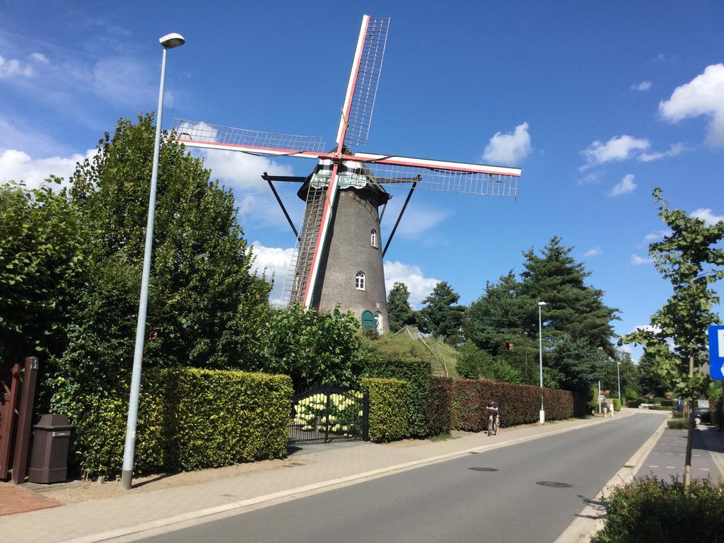 B&B De Grote Plaats Hoogstraten Bagian luar foto