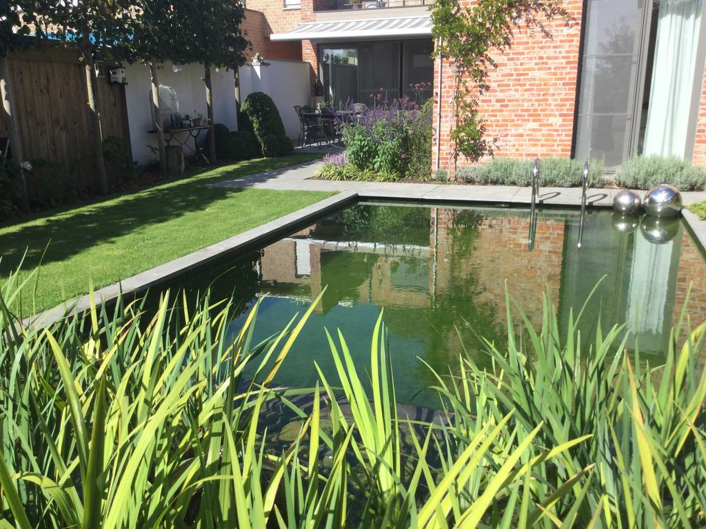 B&B De Grote Plaats Hoogstraten Bagian luar foto