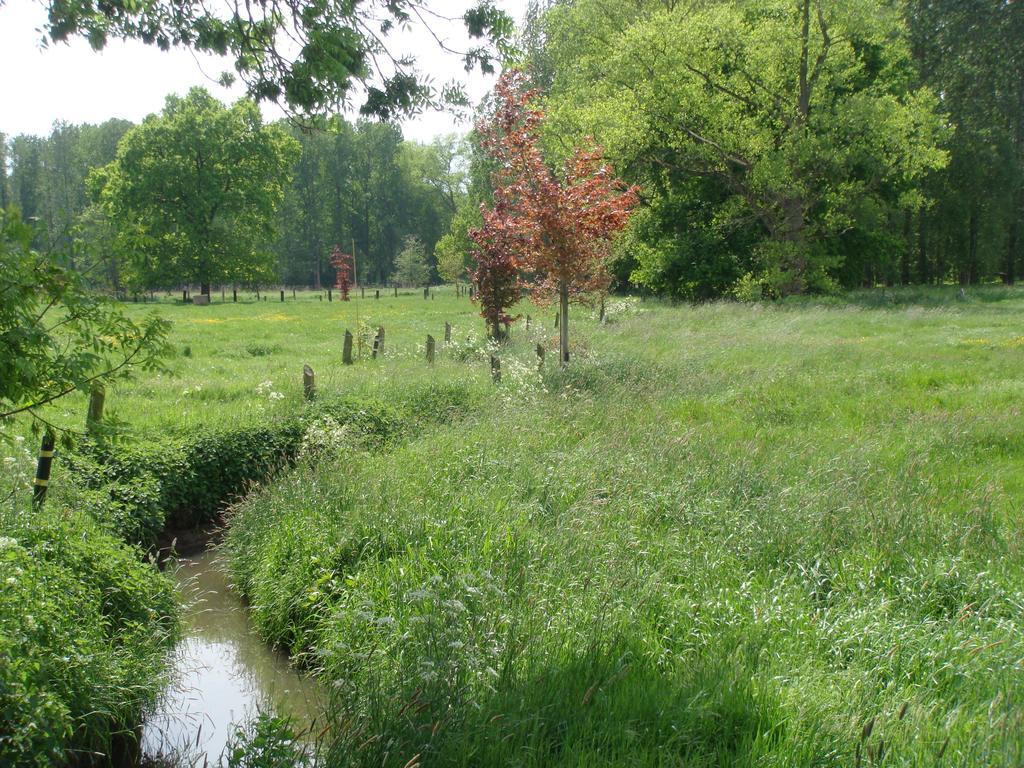 B&B De Grote Plaats Hoogstraten Bagian luar foto